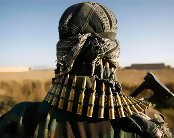 Unicorns Say No! Unicorns Say No!